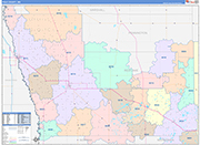 Polk County Wall Map Color Cast Style
