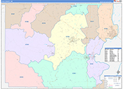 Polk County Wall Map Color Cast Style