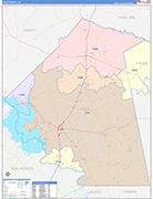 Polk County Wall Map Color Cast Style