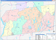 Putnam Wall Map Color Cast Style