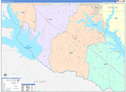 Rains County Wall Map Color Cast Style