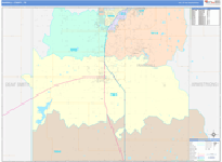 Randall County Wall Map Color Cast Style