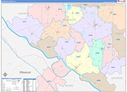 Randolph County Wall Map Color Cast Style