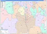 Randolph County Wall Map Color Cast Style