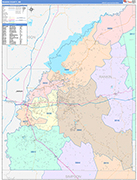Rankin County Wall Map Color Cast Style