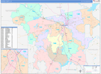 Rapides County Wall Map Color Cast Style
