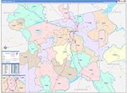Rapides County Wall Map Color Cast Style