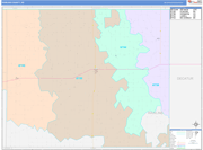 Rawlins County Wall Map Color Cast Style