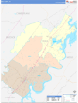 Rhea County Wall Map Color Cast Style
