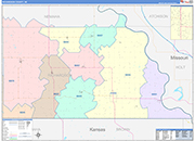 Richardson County Wall Map Color Cast Style