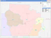 Ripley County Wall Map Color Cast Style