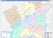Roane County Wall Map Color Cast Style