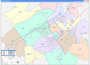 Roanoke County Wall Map Color Cast Style