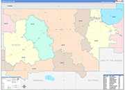 Roseau County Wall Map Color Cast Style