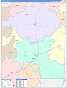 Runnels County Wall Map Color Cast Style