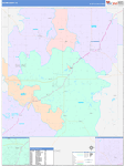 Saline County Wall Map Color Cast Style