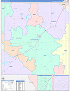 Saline County Wall Map Color Cast Style