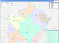 Saline County Wall Map Color Cast Style