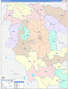 Sampson County Wall Map Color Cast Style