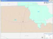 Schleicher County Wall Map Color Cast Style