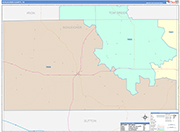 Schleicher County Wall Map Color Cast Style