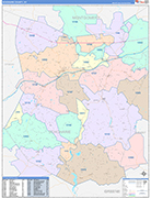 Schoharie Wall Map Color Cast Style