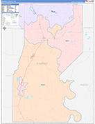 Sharkey County Wall Map Color Cast Style