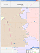 Sherman County Wall Map Color Cast Style