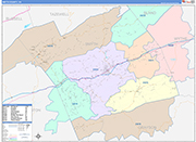Smyth County Wall Map Color Cast Style