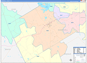 Somervell County Wall Map Color Cast Style