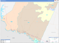Starr County Wall Map Color Cast Style