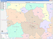 Stephenson County Wall Map Color Cast Style