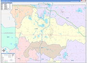 Steuben Wall Map Color Cast Style