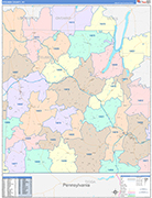 Steuben Wall Map Color Cast Style