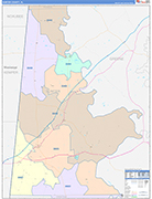 Sumter County Wall Map Color Cast Style