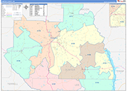 Sumter County Wall Map Color Cast Style
