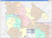 Sumter County Wall Map Color Cast Style