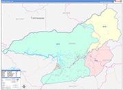 Swain County Wall Map Color Cast Style