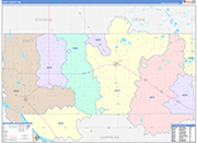 Swift County Wall Map Color Cast Style
