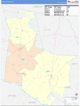 Tattnall County Wall Map Color Cast Style