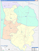 Tattnall County Wall Map Color Cast Style