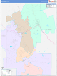 Teller County Wall Map Color Cast Style