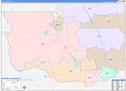 Teton County Wall Map Color Cast Style