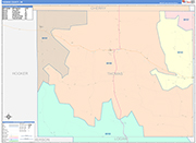 Thomas County Wall Map Color Cast Style