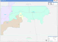 Todd County Wall Map Color Cast Style