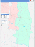 Toombs County Wall Map Color Cast Style