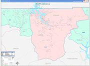 Towns County Wall Map Color Cast Style