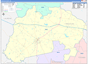 Treutlen County Wall Map Color Cast Style