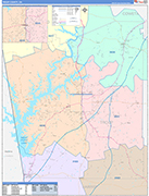 Troup County Wall Map Color Cast Style