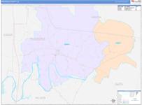 Trousdale County Wall Map Color Cast Style